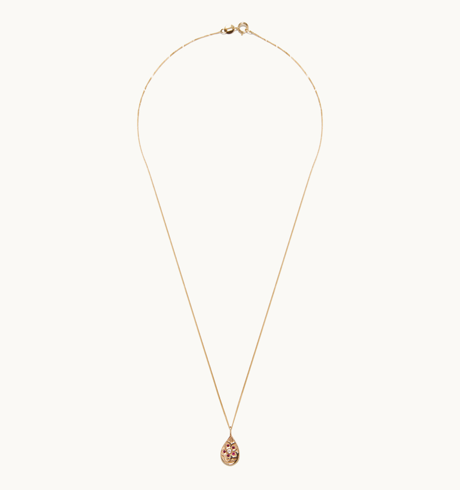 Timeless Bloom | Petalia